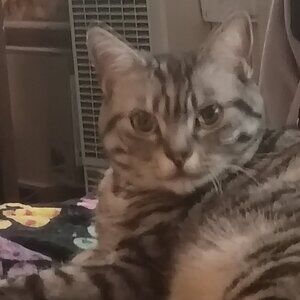 Meet your Posher, Rob